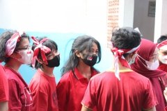 IMG_0518