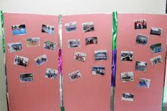 IMG_5454