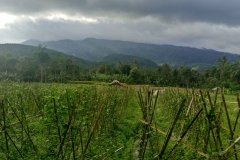 IMG_20190117_072944_HDR